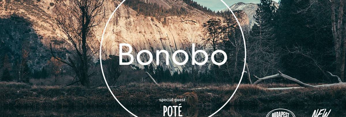bonobo - Budapest Park